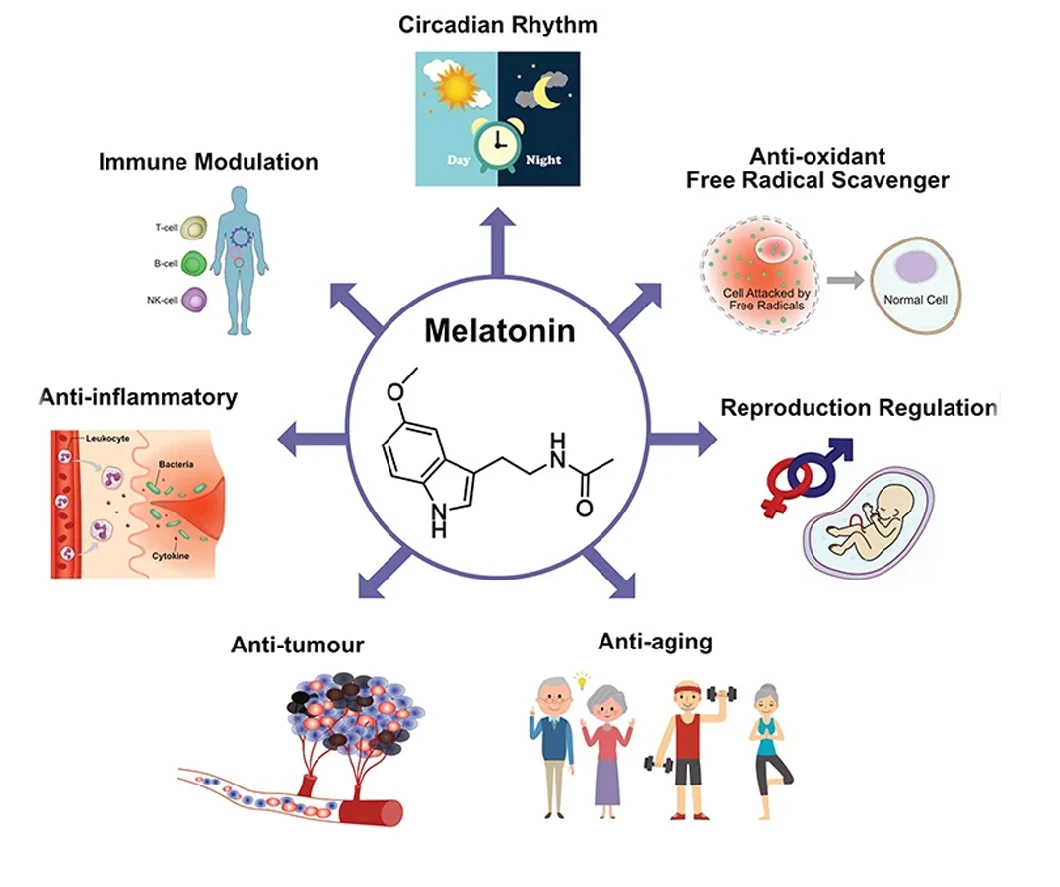 Melatonin CAS 73-31-4 Melatonin zur Regulierung des Schlafes Verbesserung Weiße Farbe Puirty 99% 1