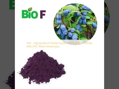 Anti-Agingnatürliche pflanzliche Nahrungsergänzungsmittel Indigo Pulver 40% OPC Relief Asthenopie