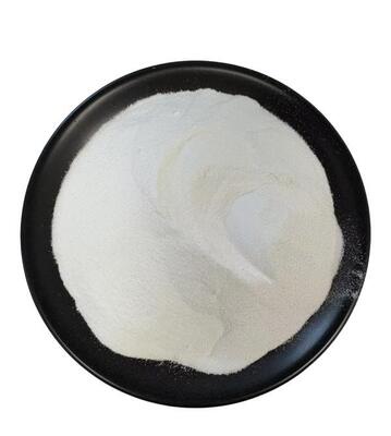 Food Grade Anti Aging CAS 23111-00-4 99% Nicotinamide Riboside Chloride Nrc Nr-Cl Powder