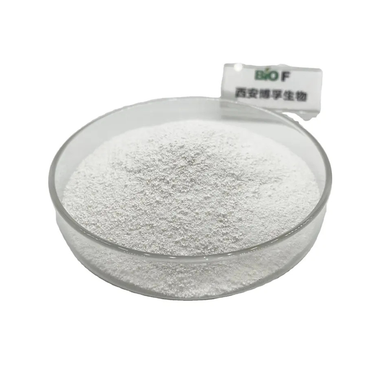 99% White Resveratrol Powder For Health Care CAS 501-36-05