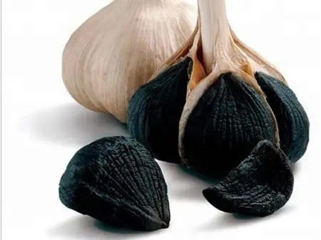 Gesundheitsprodukt Schwarzer Knoblauchöl Extrakt 99% Reinheit