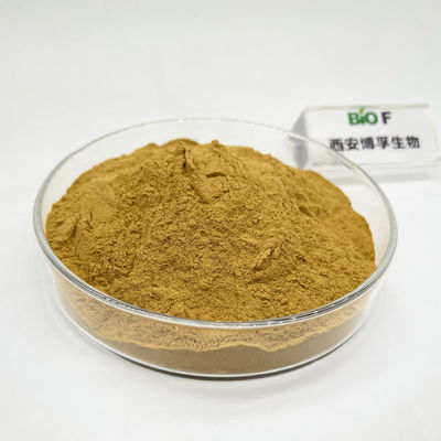 Hochwertiges reines natürliches CAS 97404-52-9 Rhodiola Rosea Extraktpulver auf Lager